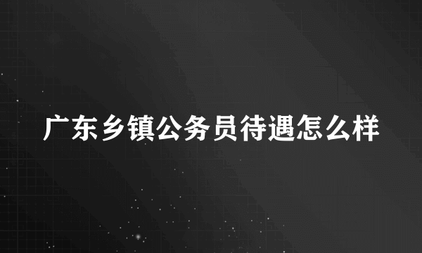 广东乡镇公务员待遇怎么样