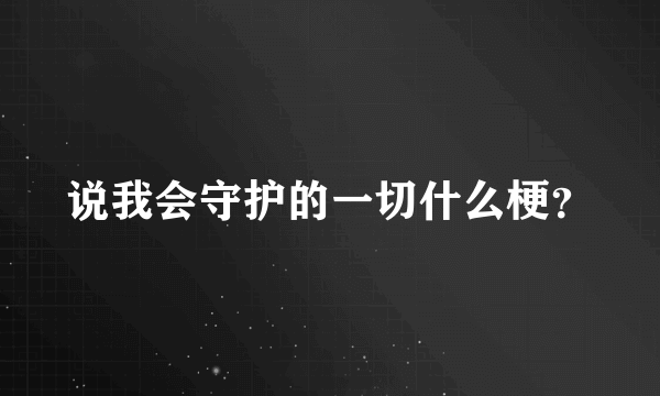 说我会守护的一切什么梗？