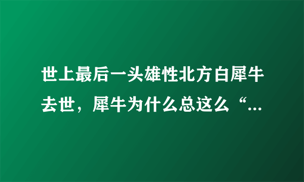 世上最后一头雄性北方白犀牛去世，犀牛为什么总这么“倒霉”？