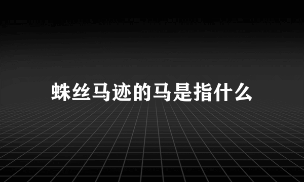 蛛丝马迹的马是指什么