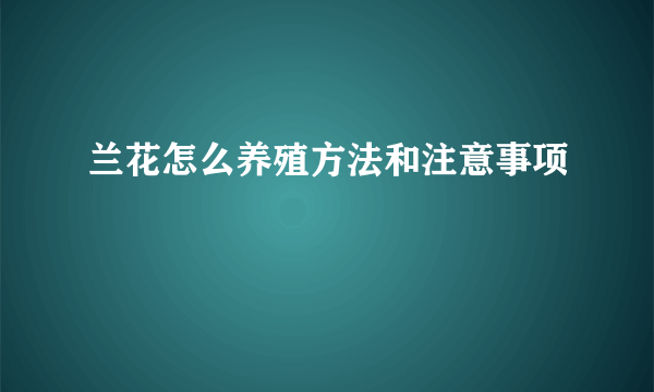 兰花怎么养殖方法和注意事项