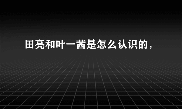 田亮和叶一茜是怎么认识的，