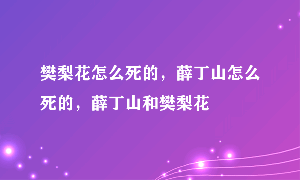 樊梨花怎么死的，薛丁山怎么死的，薛丁山和樊梨花