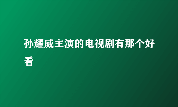 孙耀威主演的电视剧有那个好看