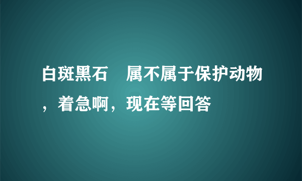 白斑黑石鵖属不属于保护动物，着急啊，现在等回答