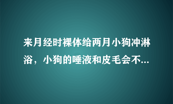 来月经时裸体给两月小狗冲淋浴，小狗的唾液和皮毛会不...