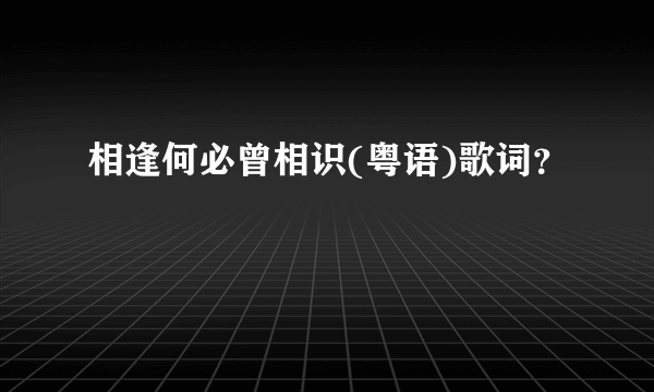 相逢何必曾相识(粤语)歌词？