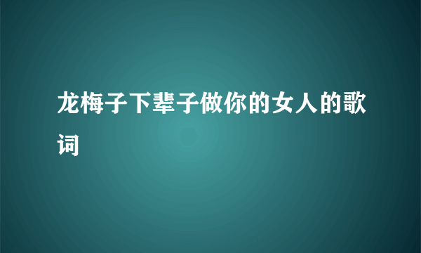 龙梅子下辈子做你的女人的歌词