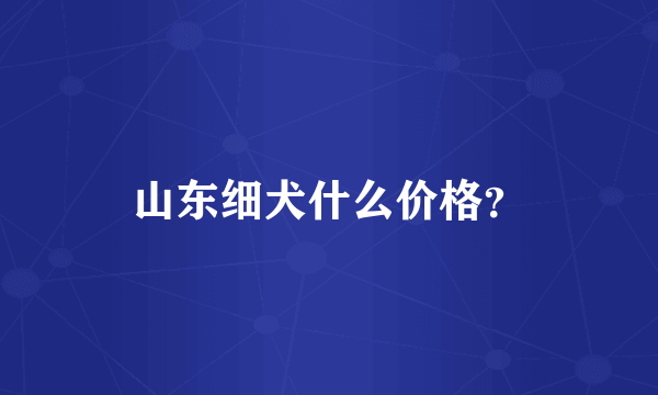 山东细犬什么价格？