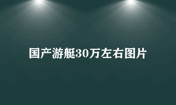 国产游艇30万左右图片