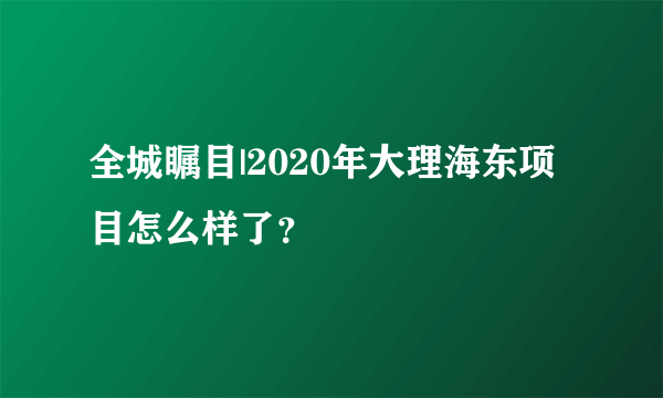 全城瞩目|2020年大理海东项目怎么样了？