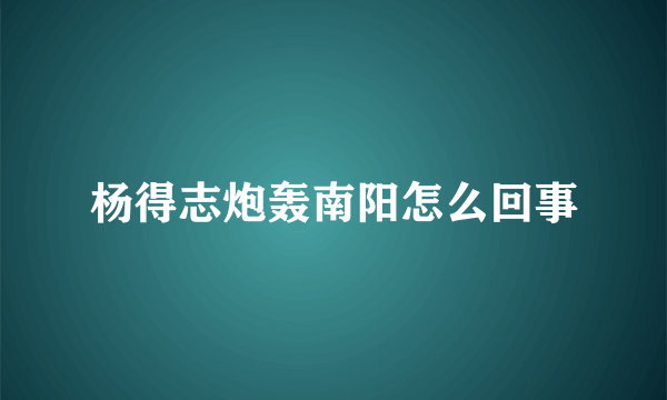 杨得志炮轰南阳怎么回事