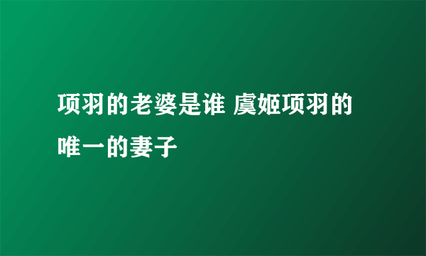 项羽的老婆是谁 虞姬项羽的唯一的妻子