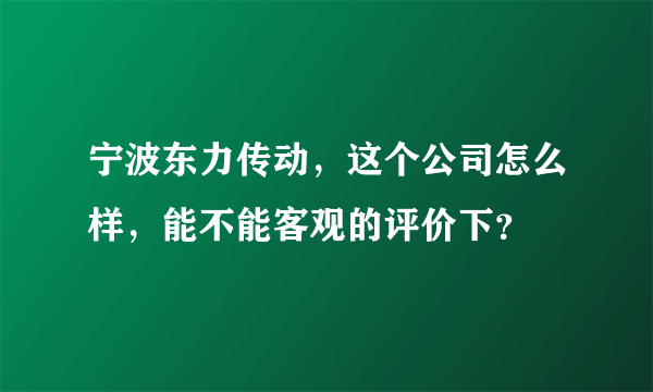 宁波东力传动，这个公司怎么样，能不能客观的评价下？