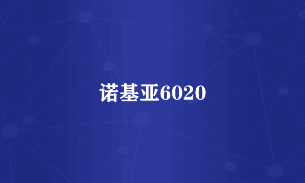 诺基亚6020