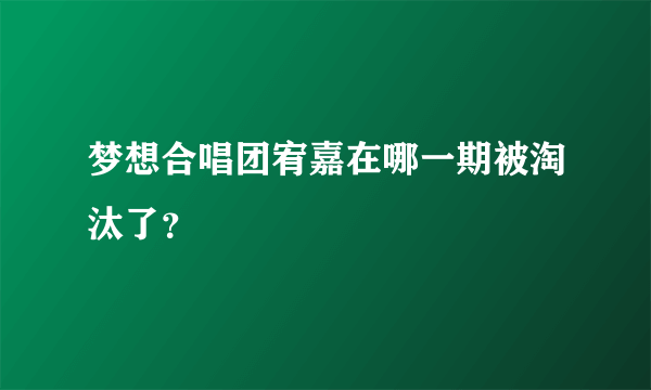 梦想合唱团宥嘉在哪一期被淘汰了？