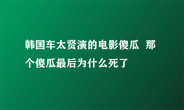 韩国车太贤演的电影傻瓜  那个傻瓜最后为什么死了