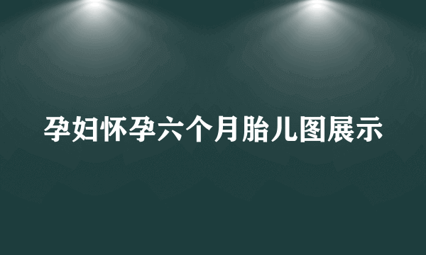 孕妇怀孕六个月胎儿图展示