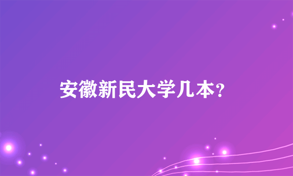 安徽新民大学几本？