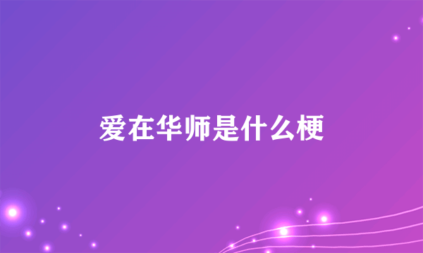 爱在华师是什么梗