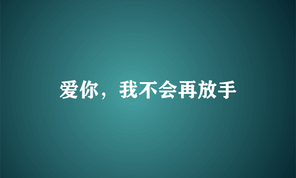 爱你，我不会再放手