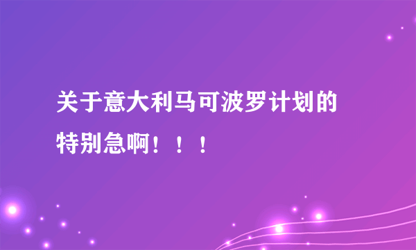 关于意大利马可波罗计划的   特别急啊！！！