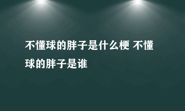 不懂球的胖子是什么梗 不懂球的胖子是谁