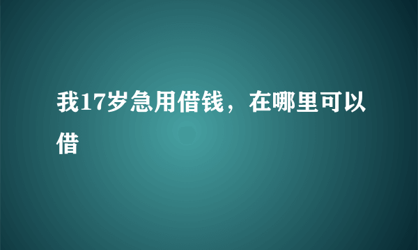 我17岁急用借钱，在哪里可以借