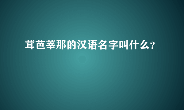 茸芭莘那的汉语名字叫什么？