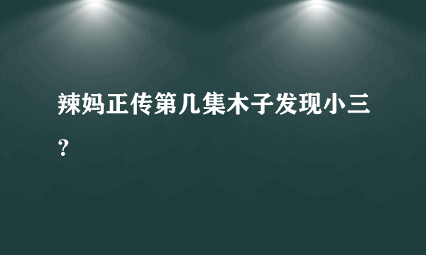 辣妈正传第几集木子发现小三？