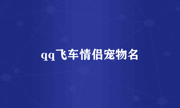 qq飞车情侣宠物名