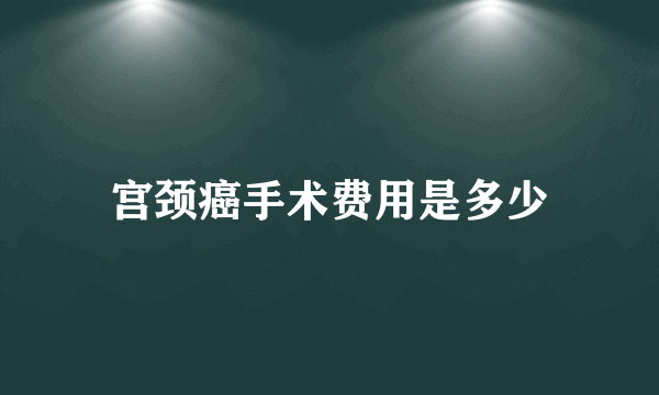 宫颈癌手术费用是多少