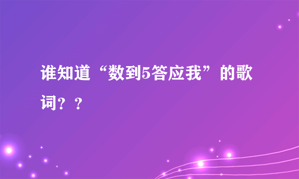 谁知道“数到5答应我”的歌词？？