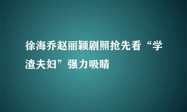 徐海乔赵丽颖剧照抢先看“学渣夫妇”强力吸睛