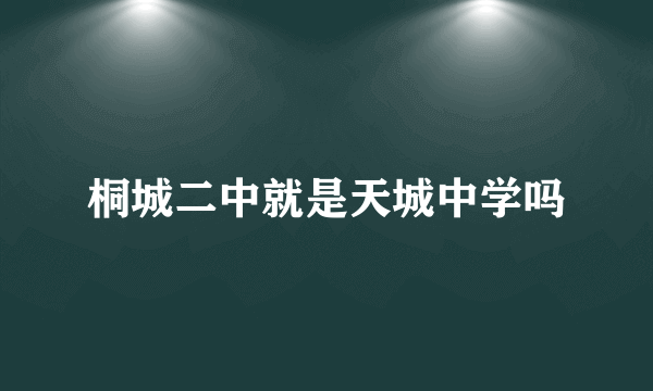 桐城二中就是天城中学吗