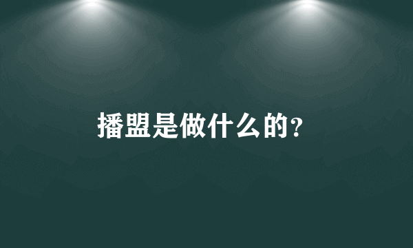 播盟是做什么的？