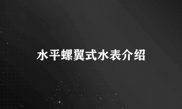 水平螺翼式水表介绍