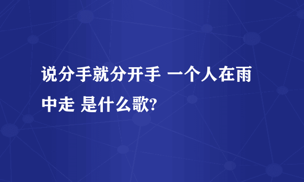 说分手就分开手 一个人在雨中走 是什么歌?