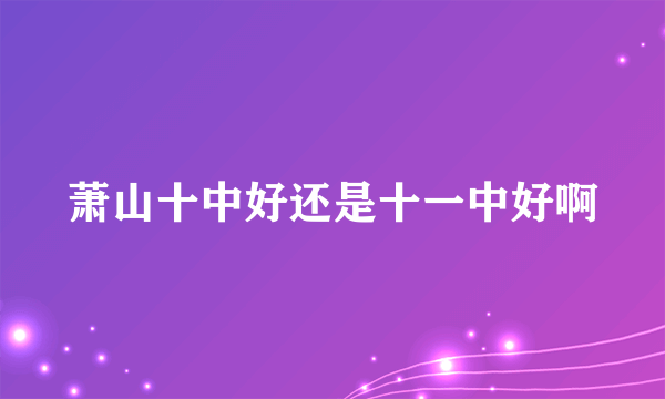 萧山十中好还是十一中好啊