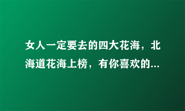 女人一定要去的四大花海，北海道花海上榜，有你喜欢的地方吗？