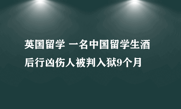 英国留学 一名中国留学生酒后行凶伤人被判入狱9个月