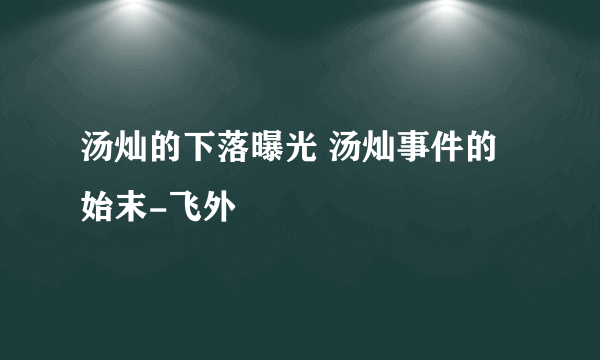 汤灿的下落曝光 汤灿事件的始末-飞外