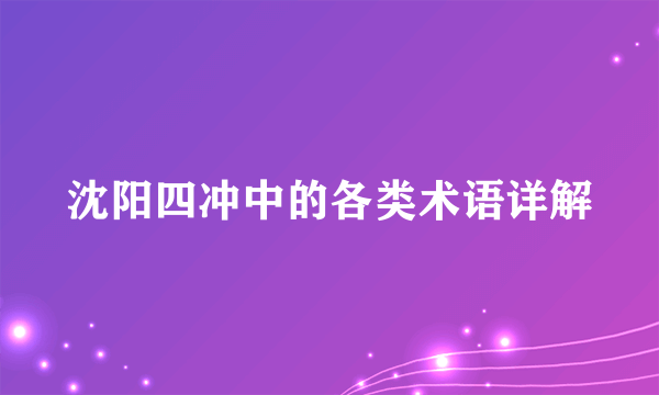 沈阳四冲中的各类术语详解