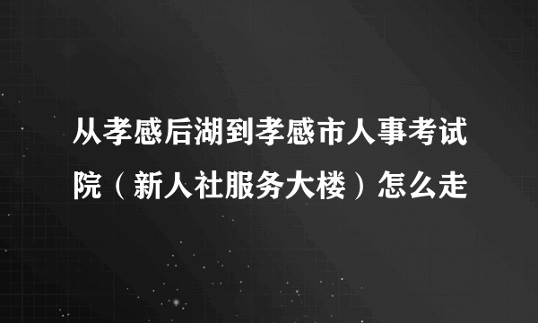 从孝感后湖到孝感市人事考试院（新人社服务大楼）怎么走