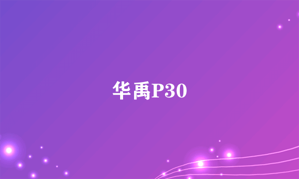 华禹P30