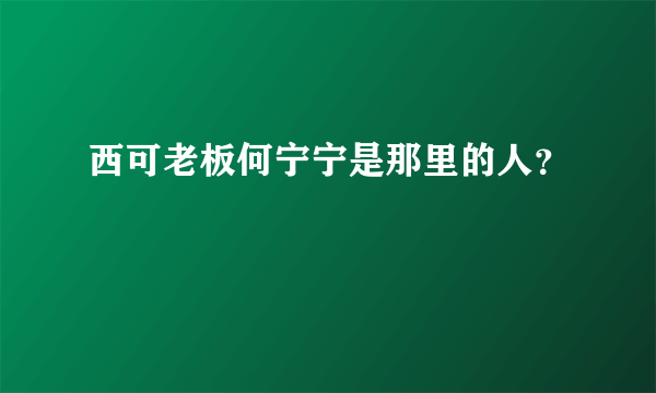 西可老板何宁宁是那里的人？