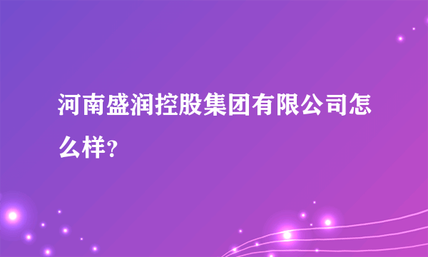 河南盛润控股集团有限公司怎么样？