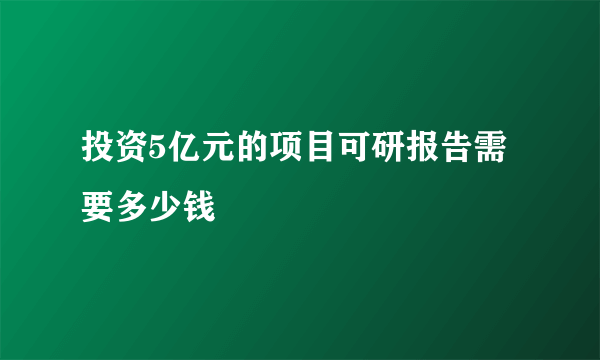 投资5亿元的项目可研报告需要多少钱