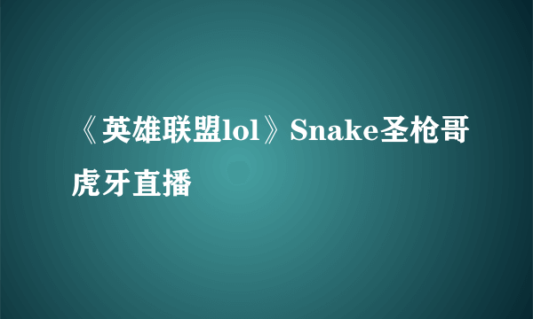 《英雄联盟lol》Snake圣枪哥虎牙直播