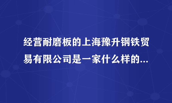 经营耐磨板的上海豫升钢铁贸易有限公司是一家什么样的公司，实力怎么样？